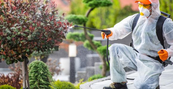 Fence Cleaning